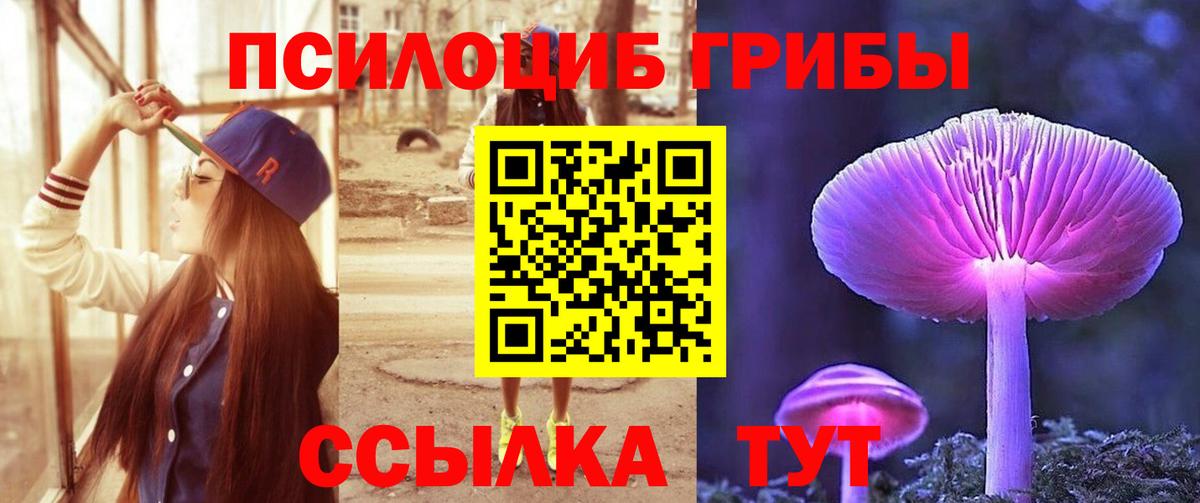 Псилоцибиновые грибы Psilocybe  Вход с VPN  Вольск  Галлюциногенные грибы Psilocybe 